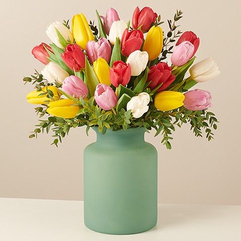 Arc-en-ciel: Tulipes Multicolores