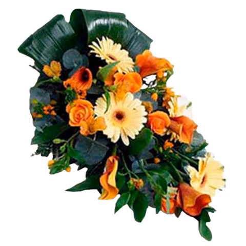 Sunset of Life: Roses and Carnations Sunset of Life: Roses and Carnations