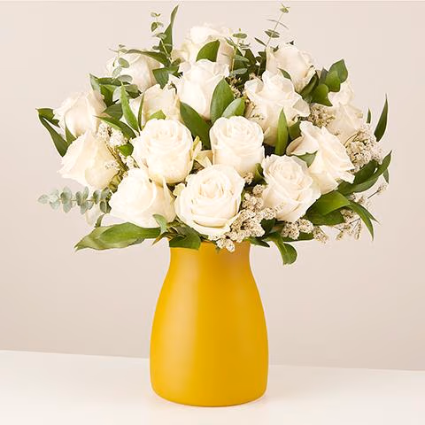 Roses's Elegance: White Roses Roses's Elegance: White Roses