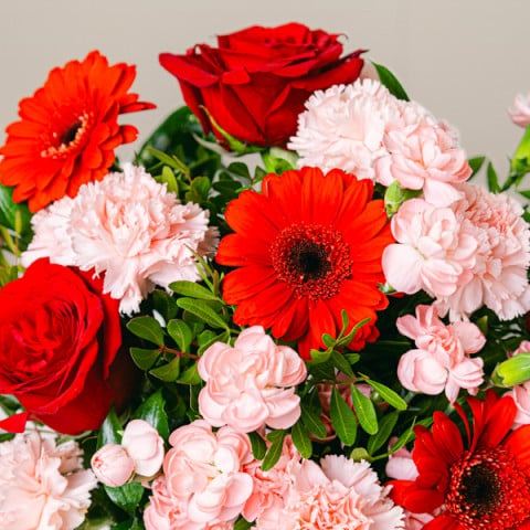 Soul Love: Roses and Gerberas highlight Soul Love: Roses and Gerberas highlight