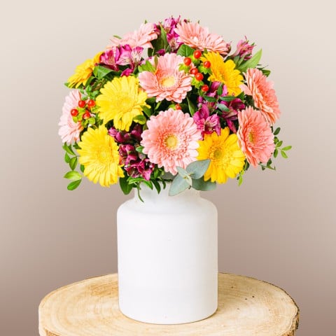 Full of Life: Gerberas and Alstroemerias Full of Life: Gerberas and Alstroemerias