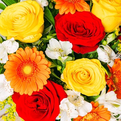 Floral Energy: Mixed Orange Flowers highlight Floral Energy: Mixed Orange Flowers highlight