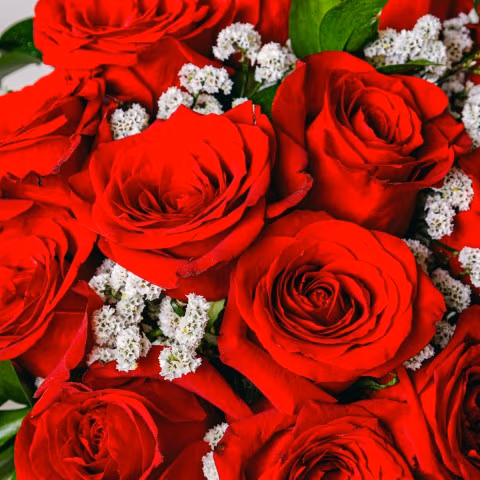 Classic Love: 12 Red Roses highlight Classic Love: 12 Red Roses highlight