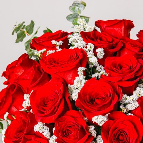 Embrace of Love: 20 Red Roses highlight Embrace of Love: 20 Red Roses highlight