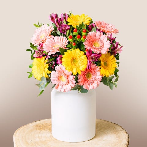 Sunlit Wishes: Gerberas y Alstroemerias Sunlit Wishes: Gerberas y Alstroemerias