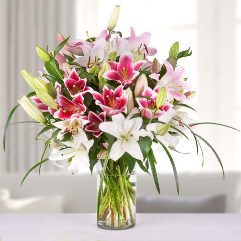 Sweet Delicacy: White and Pink Lilies Sweet Delicacy: White and Pink Lilies