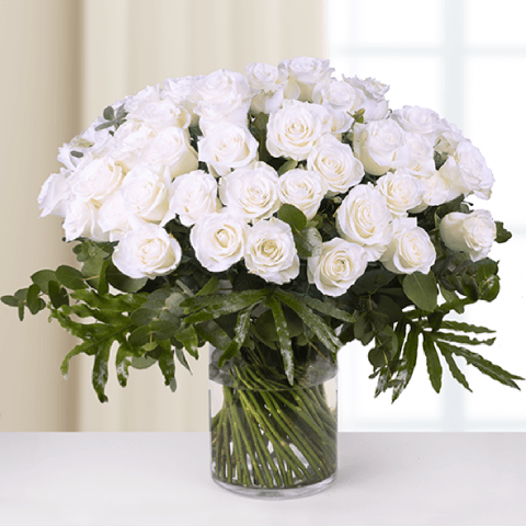 Classic Love: White Roses Classic Love: White Roses