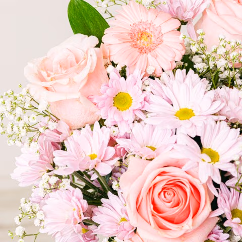 Dressed in Pink: Roses and Gerberas highlight Dressed in Pink: Roses and Gerberas highlight