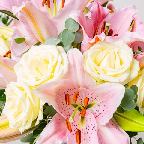 Candy: Lilies and Roses highlight Candy: Lilies and Roses highlight