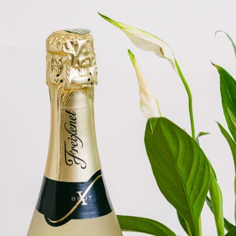 Celebrate Life: Cava & Chocolates Delight highlight Celebrate Life: Cava & Chocolates Delight highlight