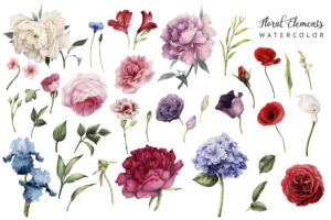 shutterstock 406094473 FloraQueen EN Bring Nature's Beauty to Life with Watercolor Flowers