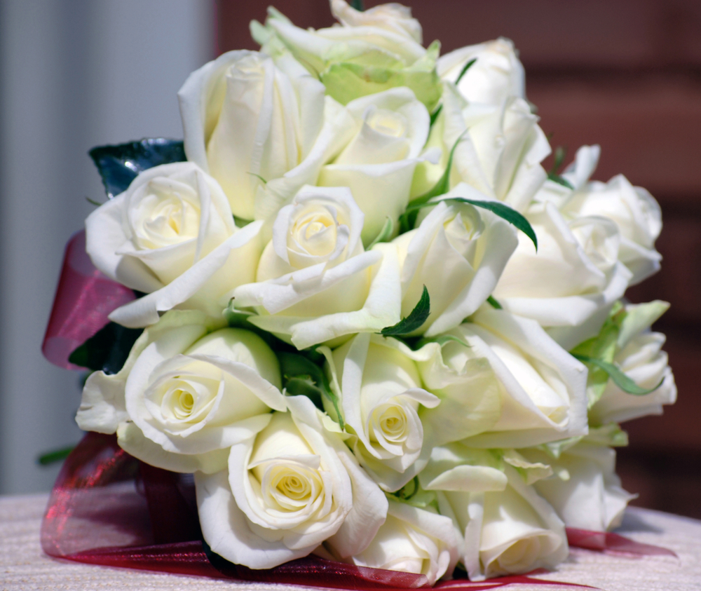 How And Why To Send Bouquets Of White Roses » FloraQueen