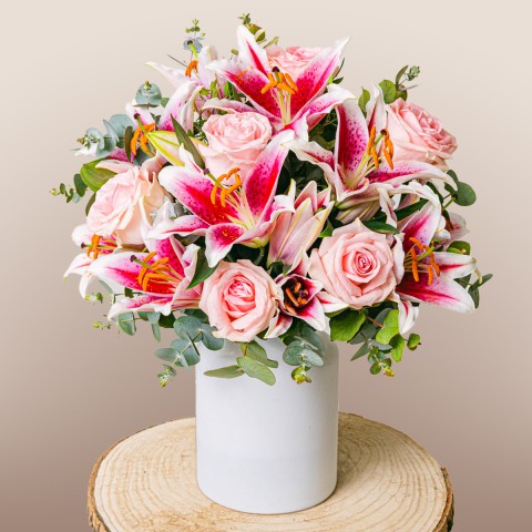 Image 0 Image 0